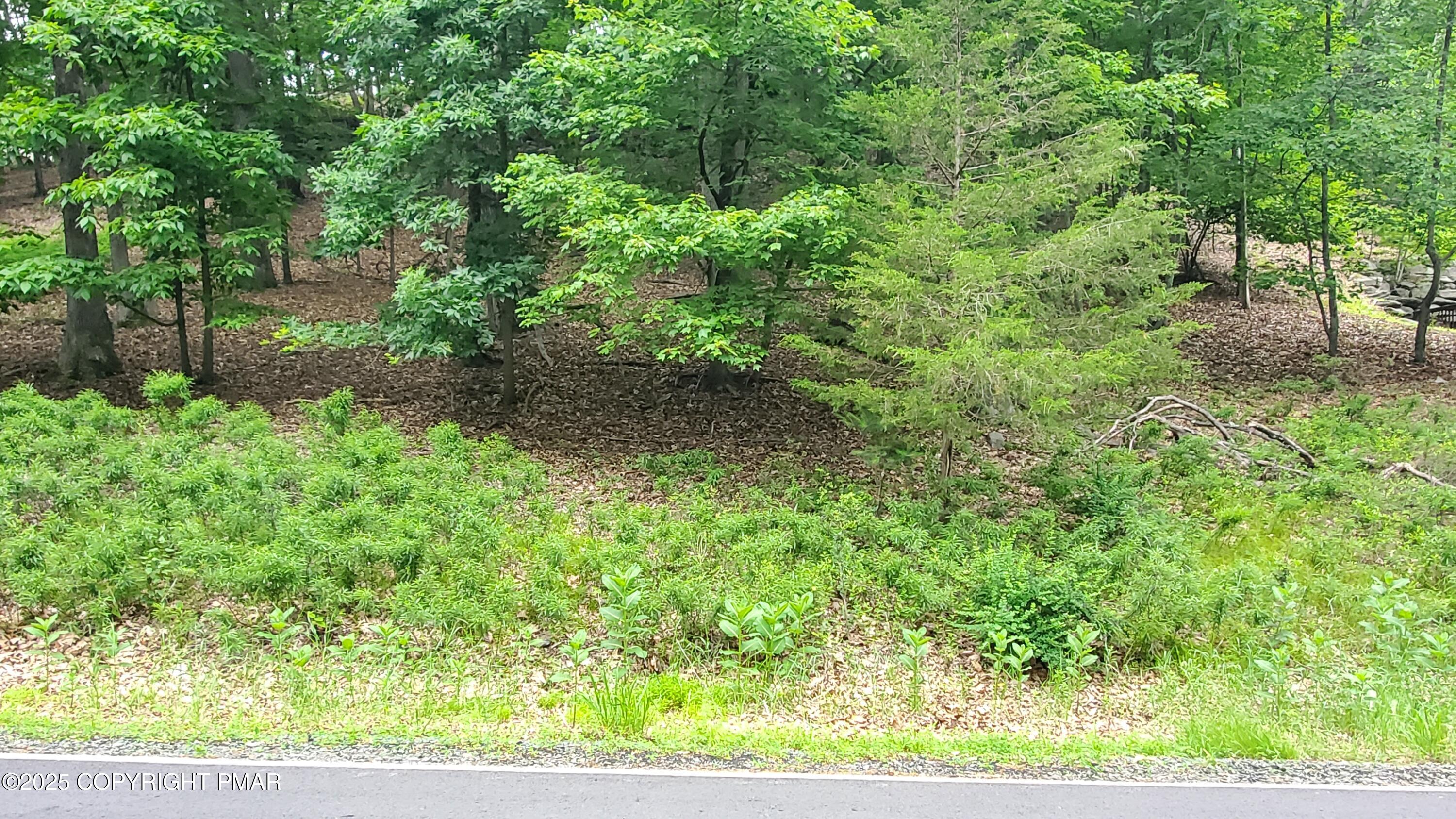 1895 Stafford Drive Bushkill, PA 18324 - Photo 9 of 12 a view of a yard with plants and a bench