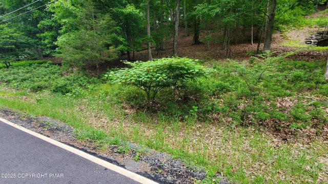 a view of outdoor space and yard
