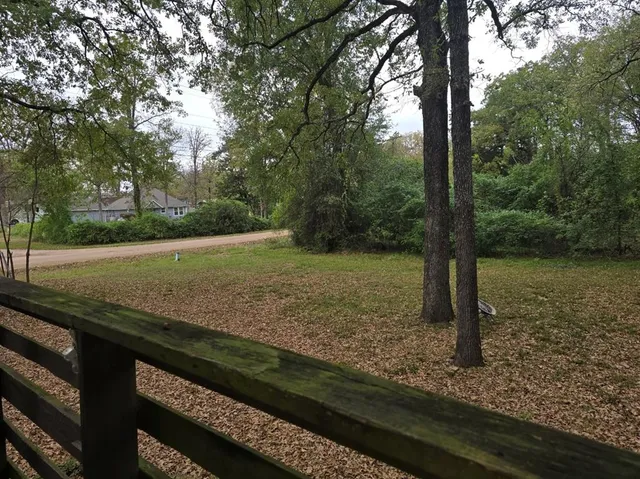 a view of a yard with large trees