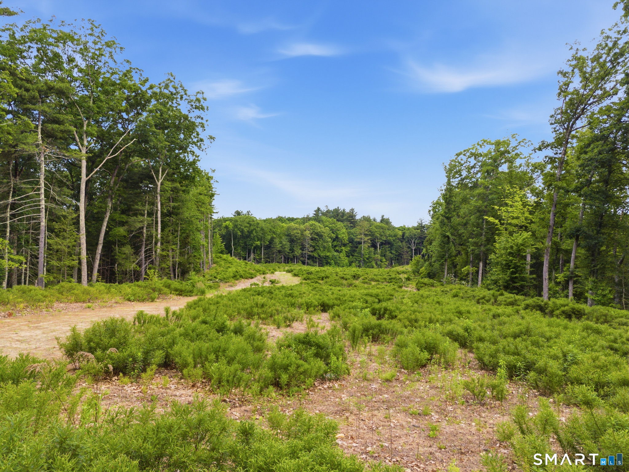 24 Peck Orchard Road Granby, CT 06060 - Photo 27 of 35