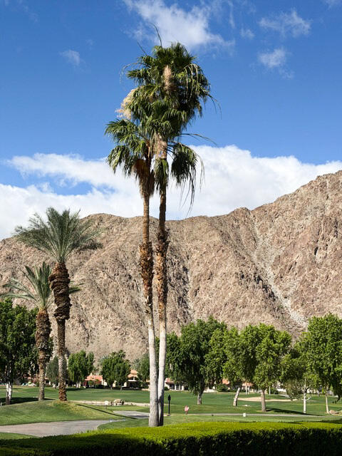 54048 Riviera La Quinta, CA 92253 - Photo 2 of 2 54048_3_comingsoon