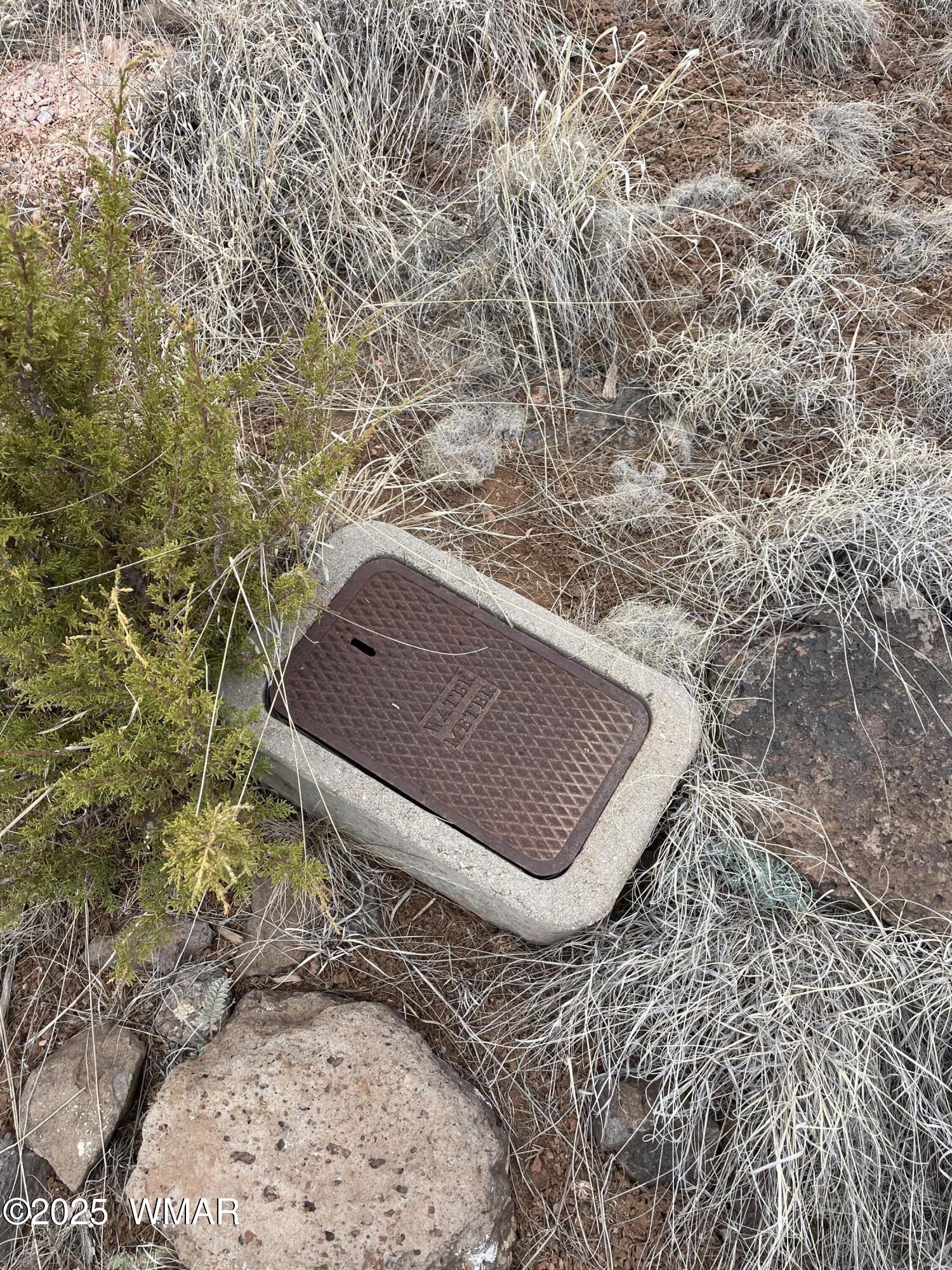 8478 Rifle Drive Show Low, AZ 85901 - Photo 26 of 26 IMG_1553