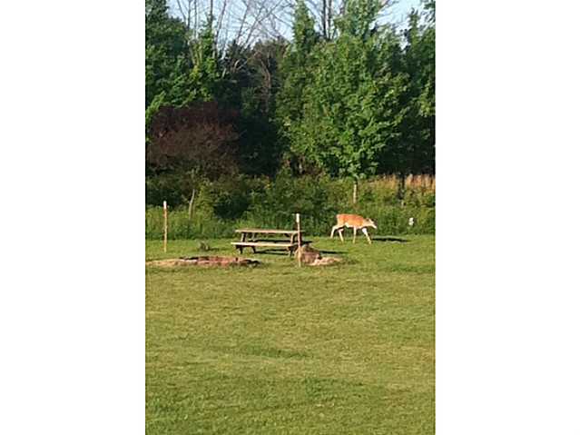 12324 Gorsuch Road Galena, OH 43021 - Photo 21 of 21 Gallery Image 21