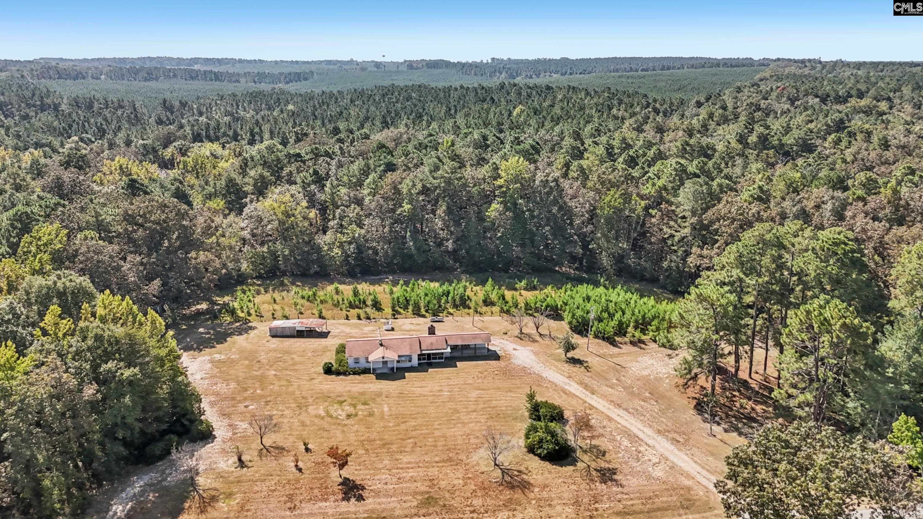 7166 Wagener Road Wagener, SC 29164 - Photo 33 of 44
