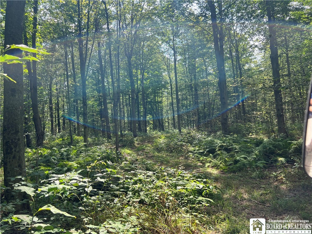 Mead Road North Jamestown, NY 14701 - Photo 23 of 42 Gallery Image 23