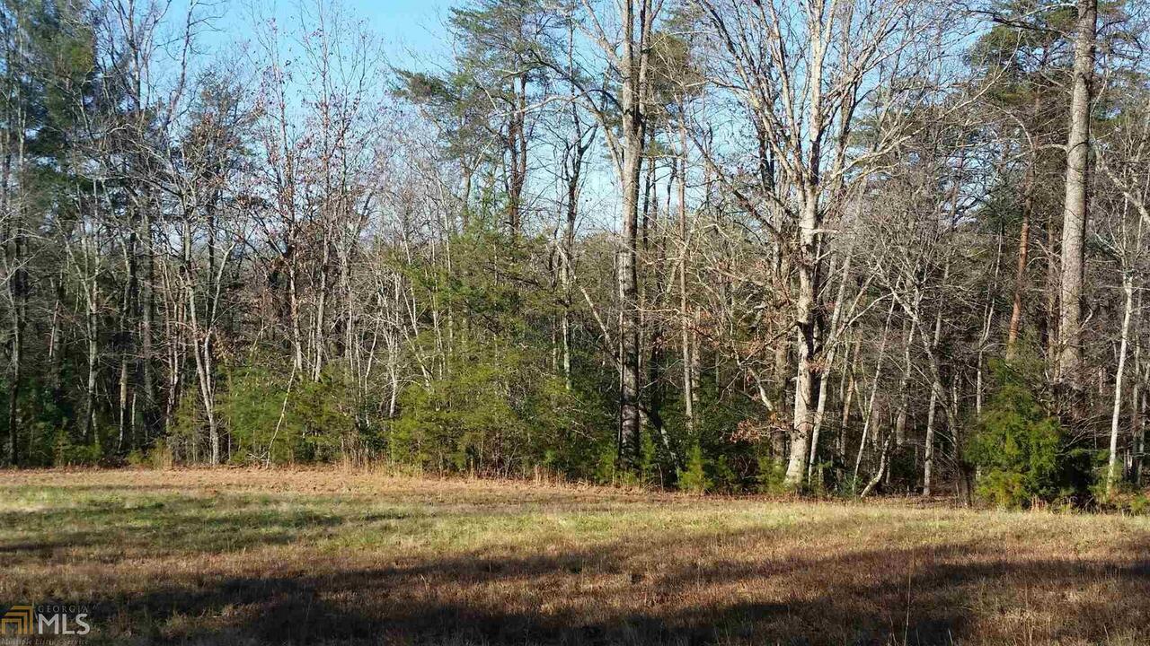 0 Albert Reid Road, Unit 3 Cleveland, GA 30528 - Photo 1 of 1 Gallery Image 1