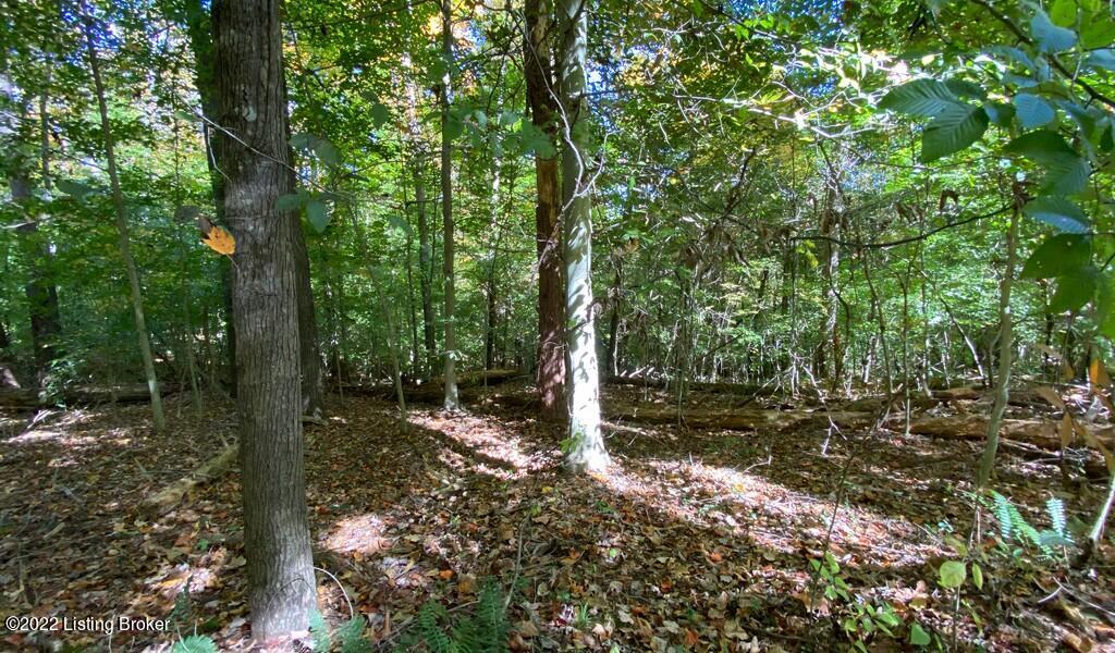 River View Fall165