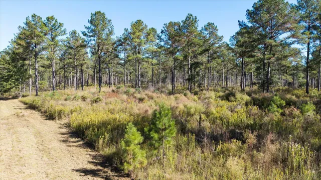 $2,500,000 | 0 Mahan Drive, Tallahassee, FL 32317