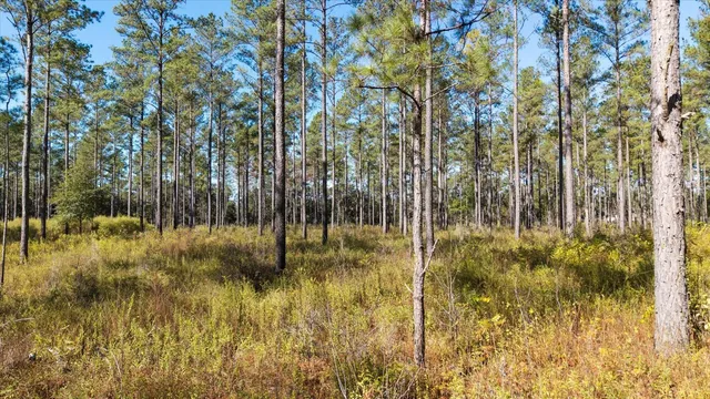 $2,500,000 | 0 Mahan Drive, Tallahassee, FL 32317