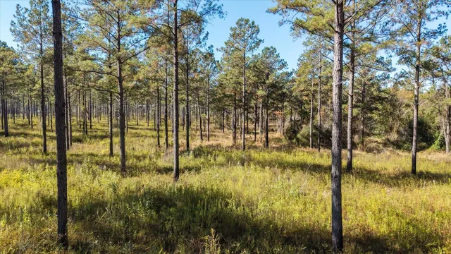 $2,500,000 | 0 Mahan Drive, Tallahassee, FL 32317