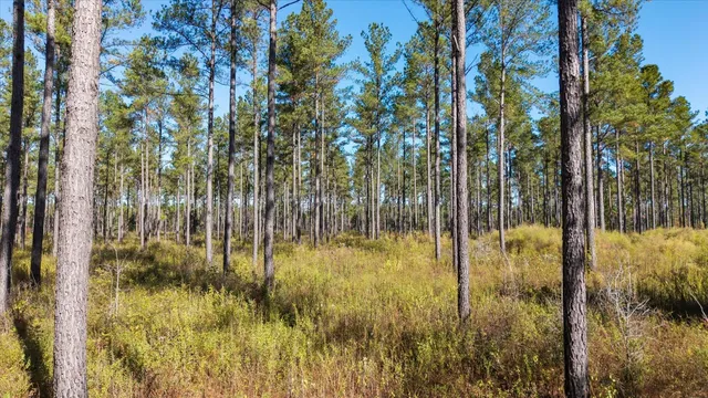 $2,500,000 | 0 Mahan Drive, Tallahassee, FL 32317