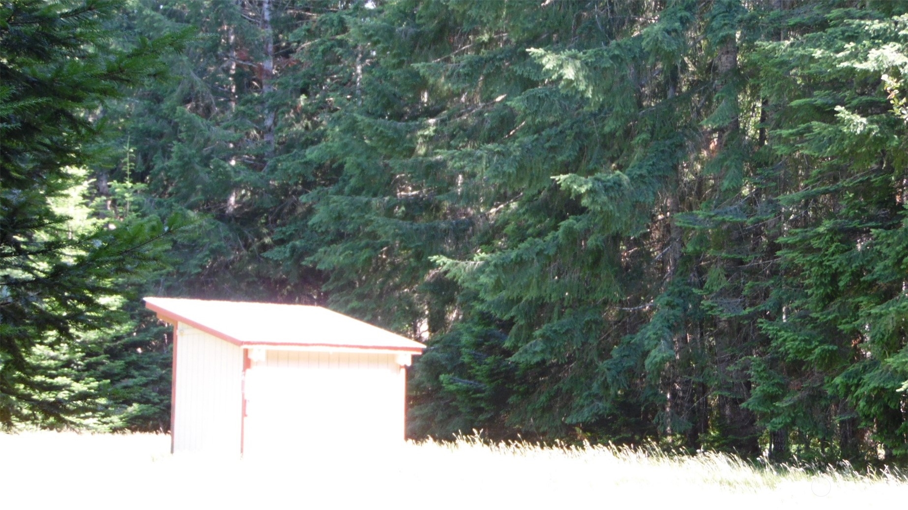 0 Churchel Road Randle, WA 98377 - Photo 13 of 18 Gallery Image 13