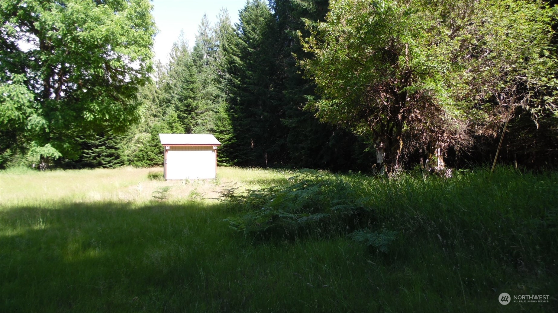 0 Churchel Road Randle, WA 98377 - Photo 17 of 18 Gallery Image 17