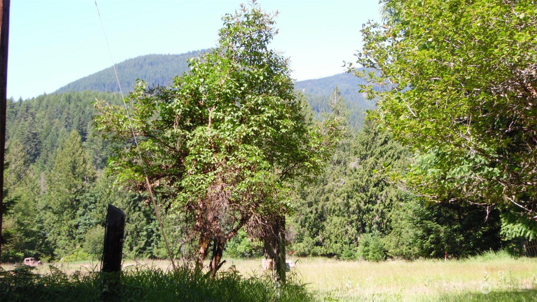 0 Churchel Road Randle, WA 98377 - Photo 2 of 18 Gallery Image 2