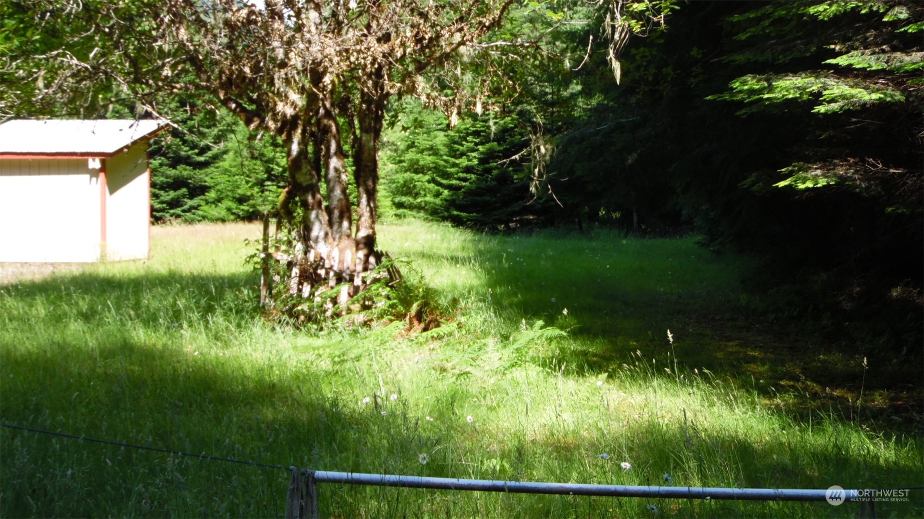 0 Churchel Road Randle, WA 98377 - Photo 3 of 18 Gallery Image 3