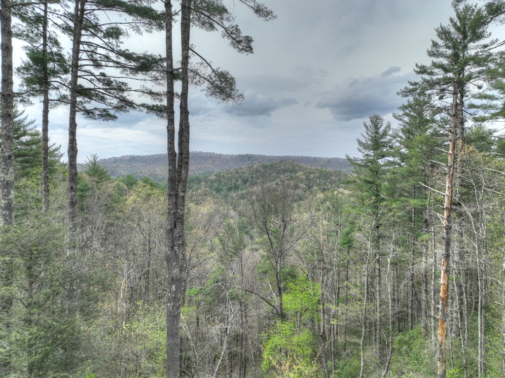464 Bell Camp Ridge Road Blue Ridge, GA 30513 - Photo 11 of 48 Gallery Image 11