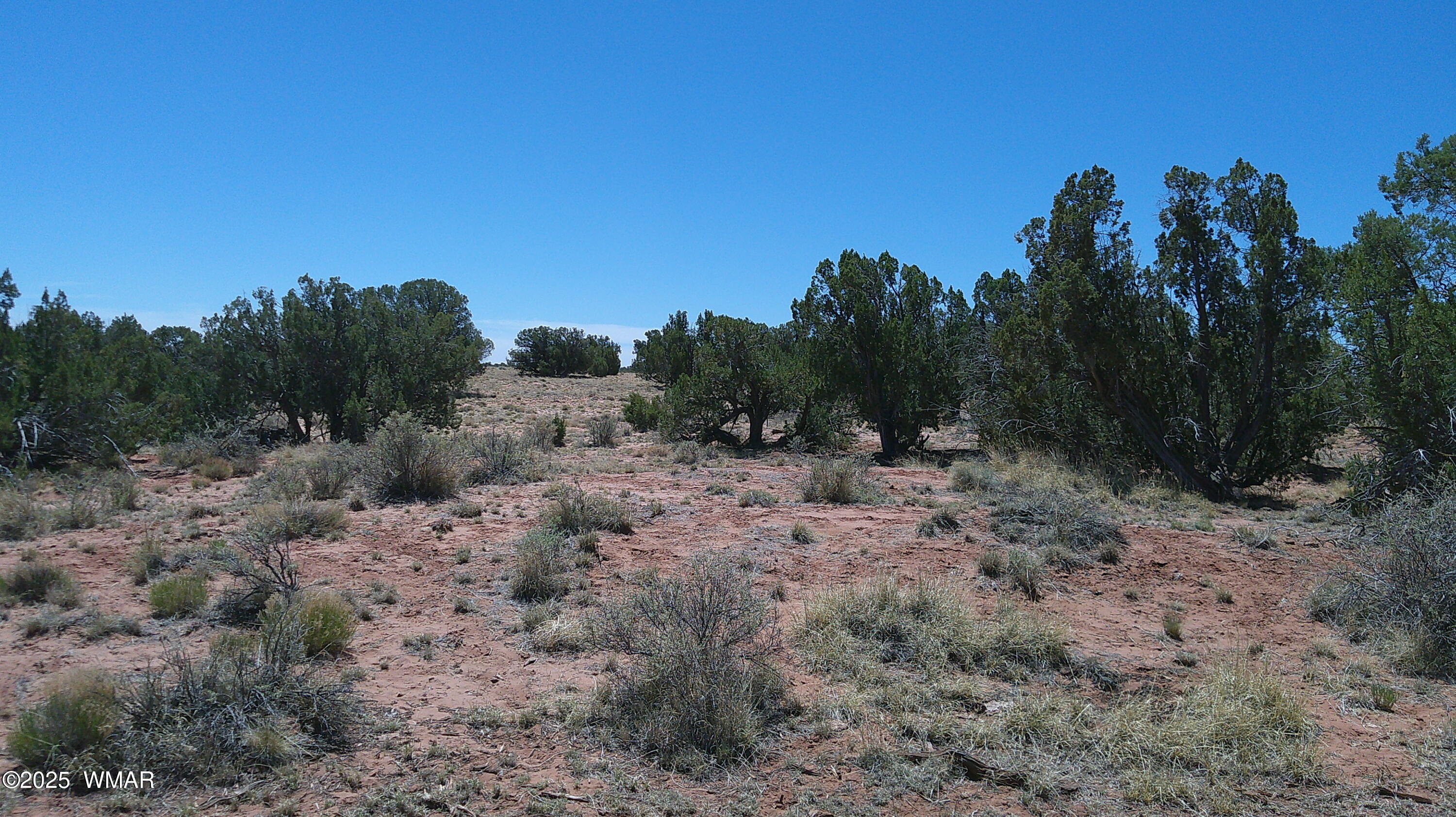 Tbd Tbd Rio Ranch Concho, AZ 85924 - Photo 27 of 44 DSCF0043