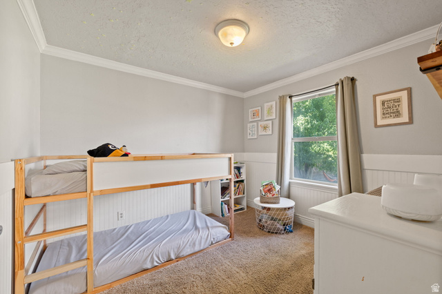594 850 West Provo, UT 84601 - Photo 13 of 33 Carpeted room featuring crown molding, neutral wall paint, and white wainscoting