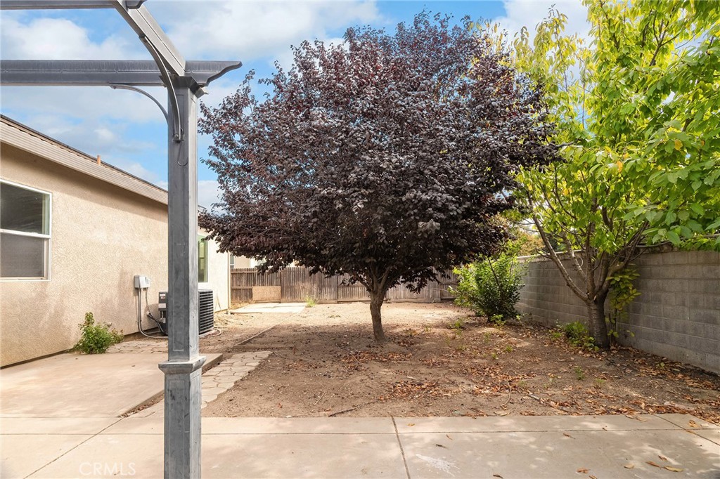 2135 Jacob Street Gridley, CA 95948 - Photo 40 of 50 a view of a backyard with large trees