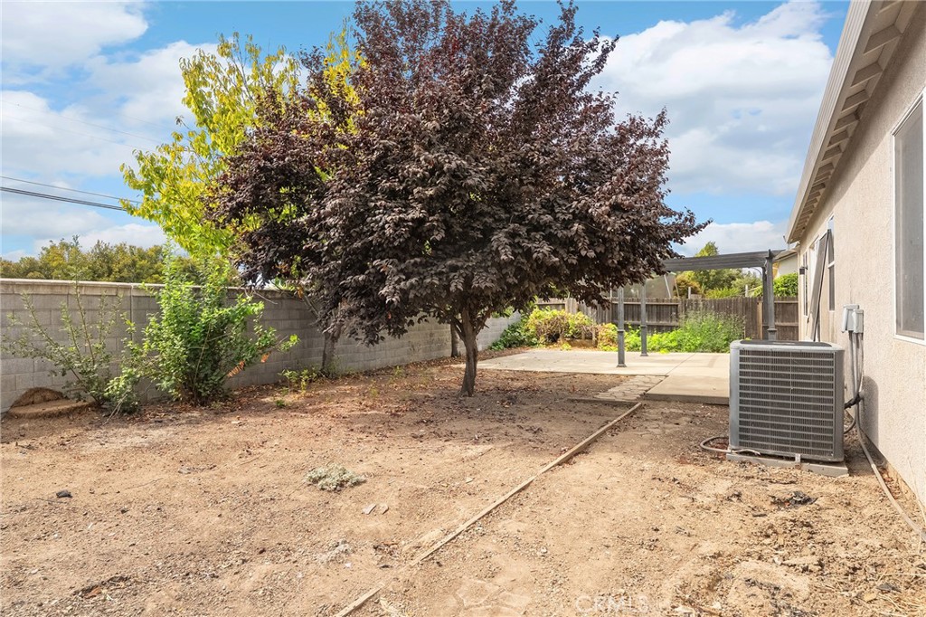 2135 Jacob Street Gridley, CA 95948 - Photo 42 of 50 a view of a yard with plants and trees