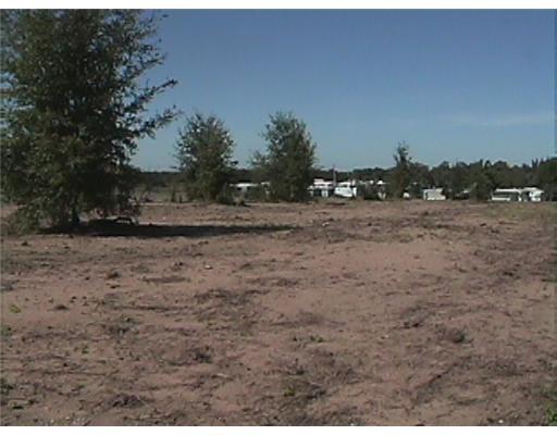 Ohlinger Road Babson Park, FL 33827 - Photo 3 of 6 Additional Photo