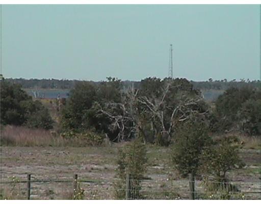 Ohlinger Road Babson Park, FL 33827 - Photo 5 of 6 Additional Photo