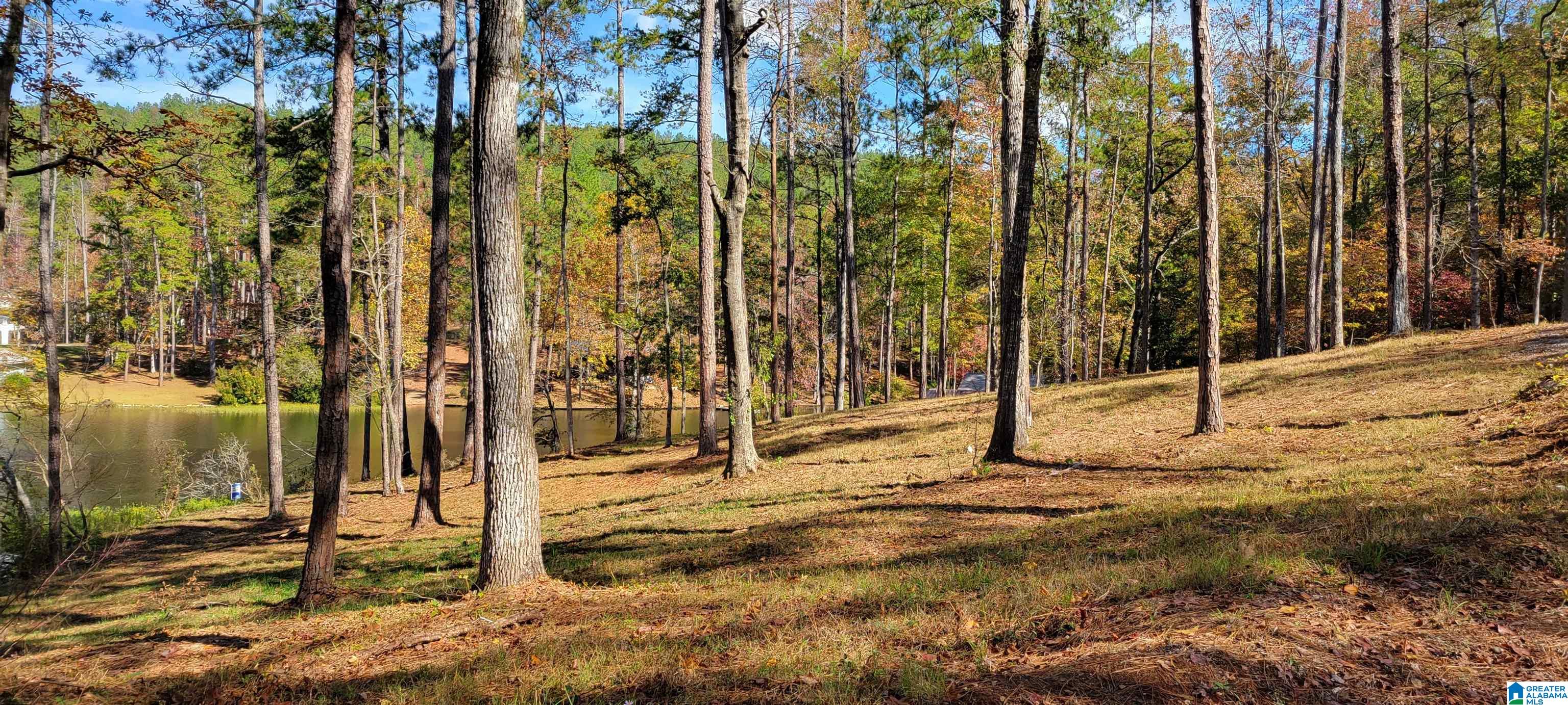 1830 Mimosa Point Road, Unit 1 Rockford, AL 35136 - Photo 6 of 24