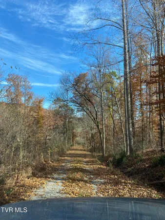 $800,000 | 0 Gillis Trail, Jonesville, VA 24263