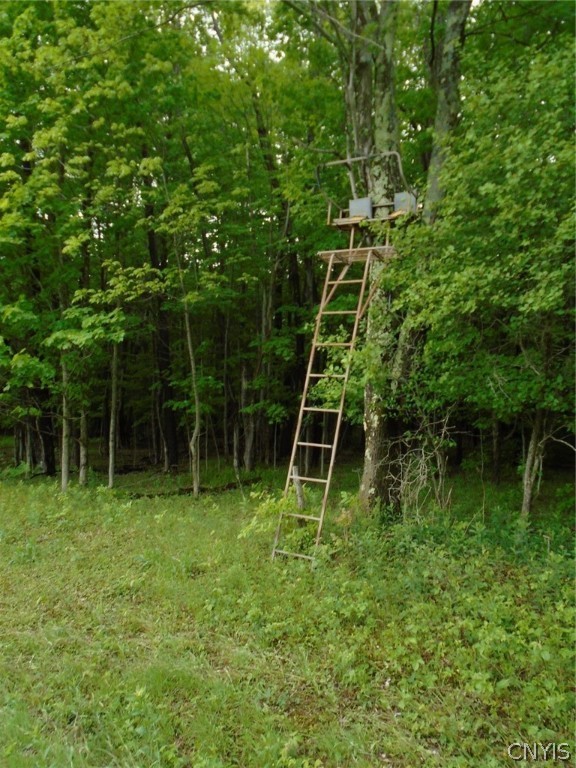 Lot A Pitcher Hill Road Pitcher, NY 13136 - Photo 11 of 13 Gallery Image 11