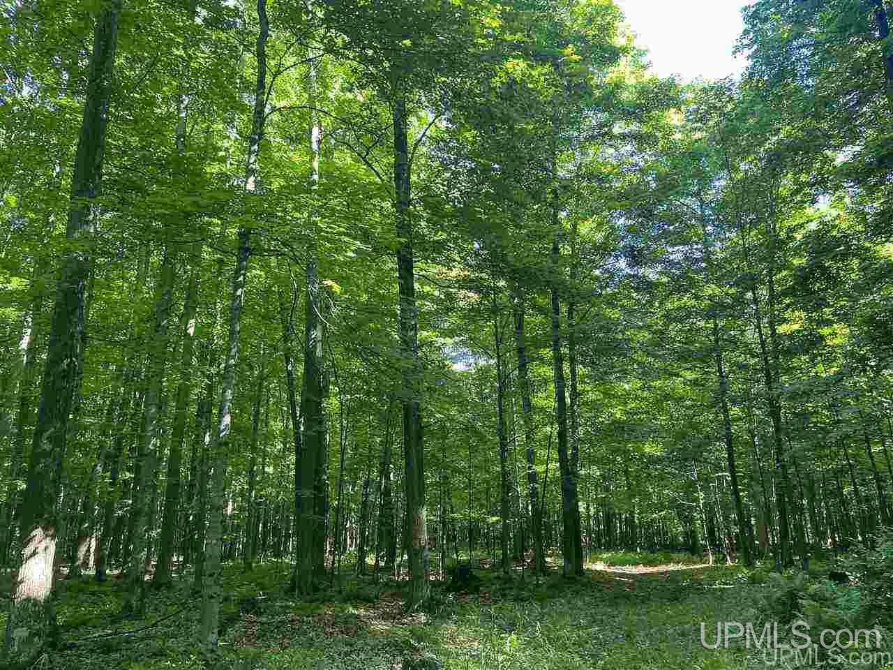 4036 26th Road Cornell, MI 49818 - Photo 31 of 49