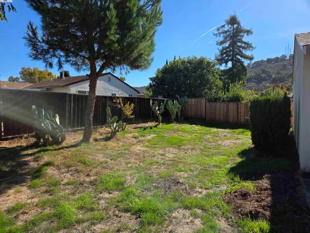 a view of a backyard with a garden