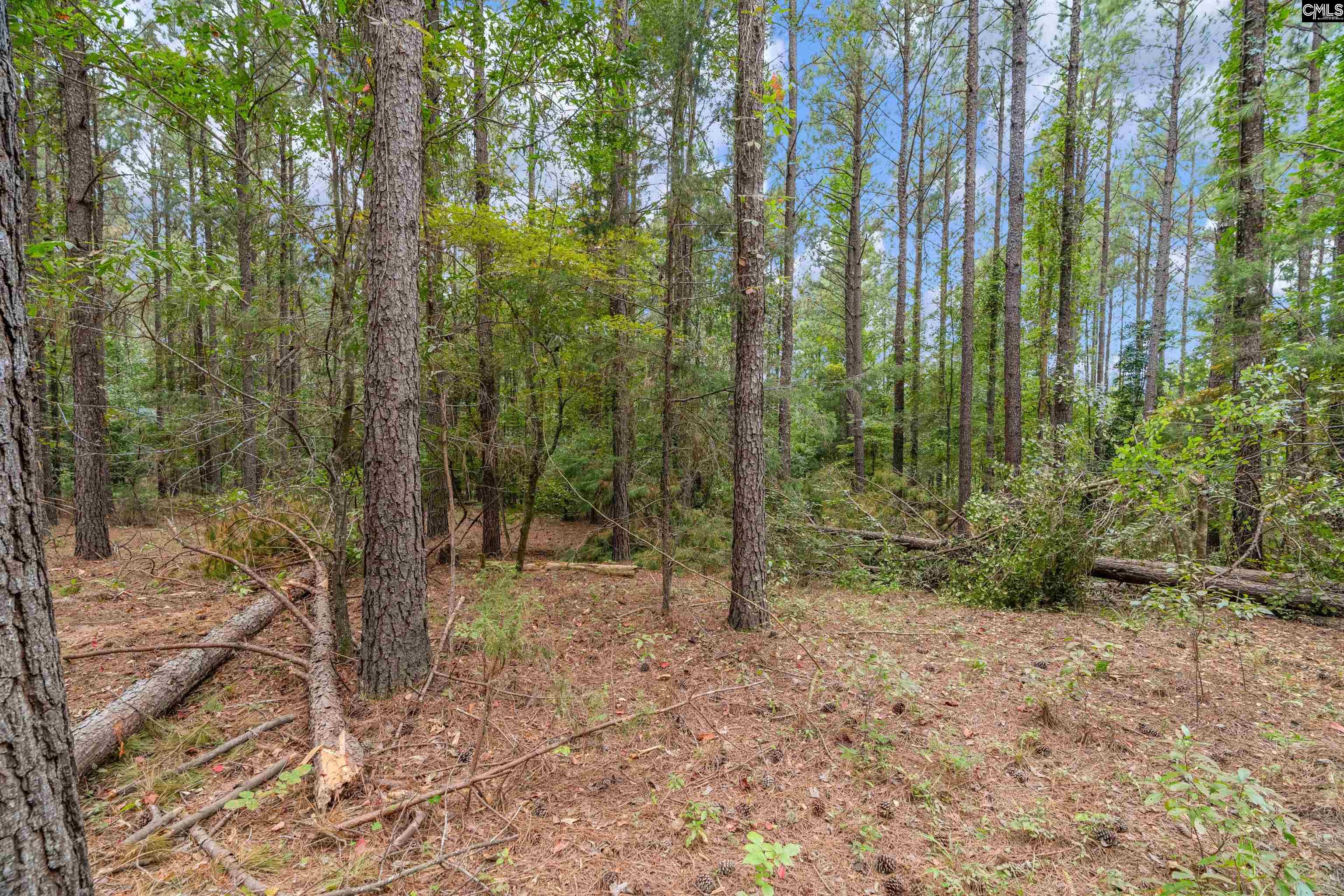 0 Penner Road, Unit 10 Jenkinsville, SC 29065 - Photo 34 of 43