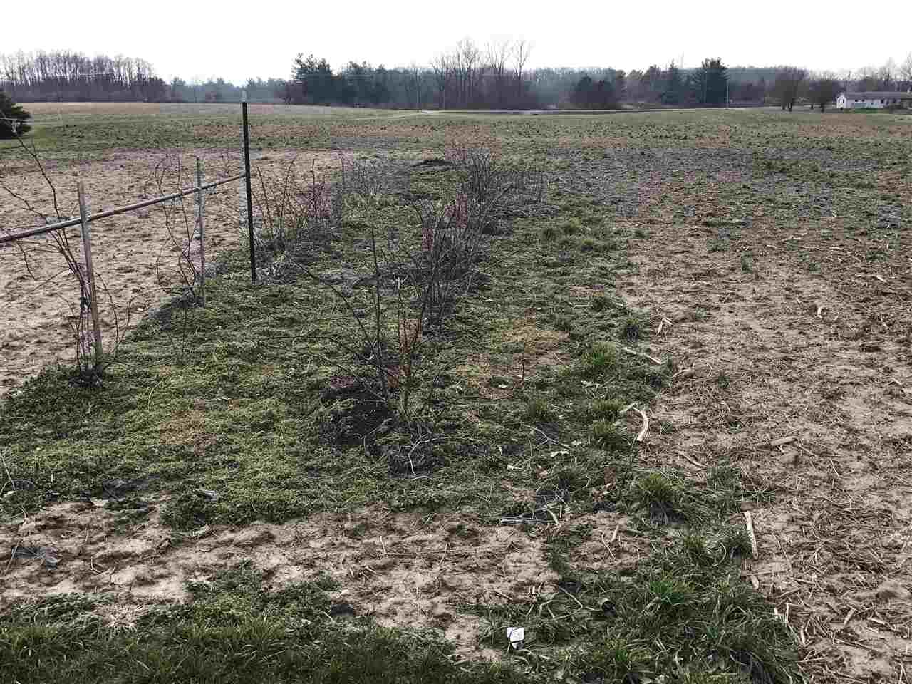 14303 Aboite Road Roanoke, IN 46783 - Photo 10 of 13 Gallery Image 10