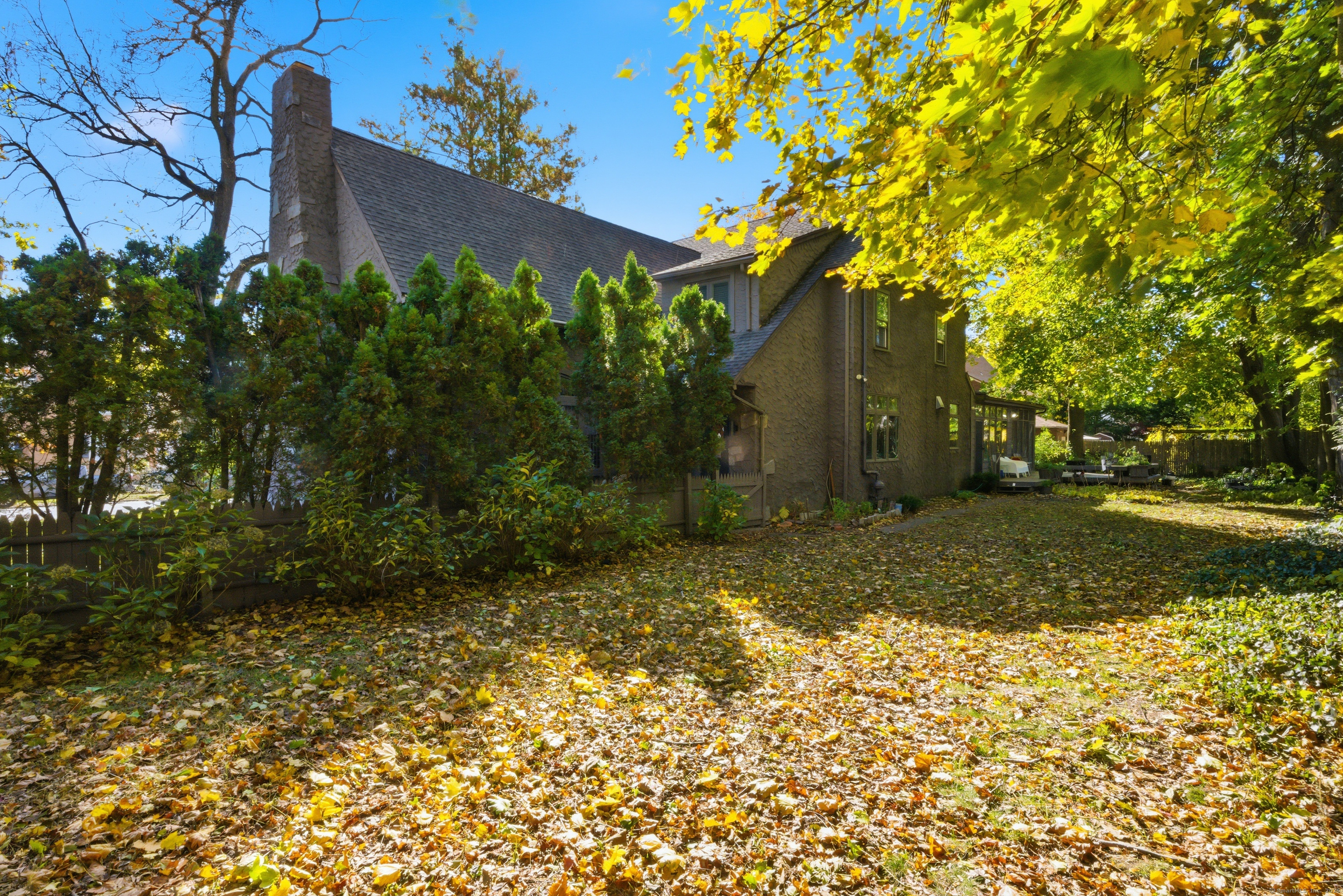 2345 Park Avenue Bridgeport, CT 06604 - Photo 35 of 39 a view of a yard with plants and trees