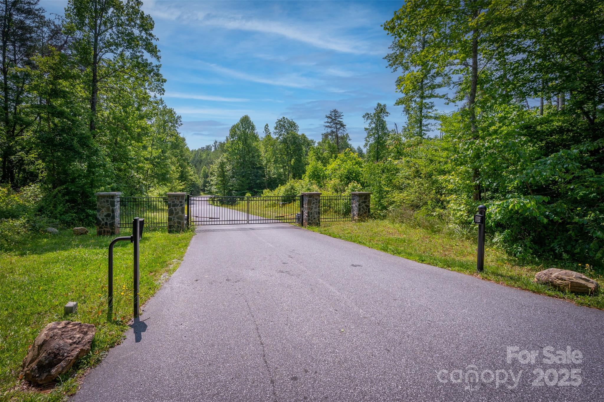Lot 11 Prospect Point Drive Tryon, NC 28782 - Photo 1 of 16 a view of a street with a yard and a large tree