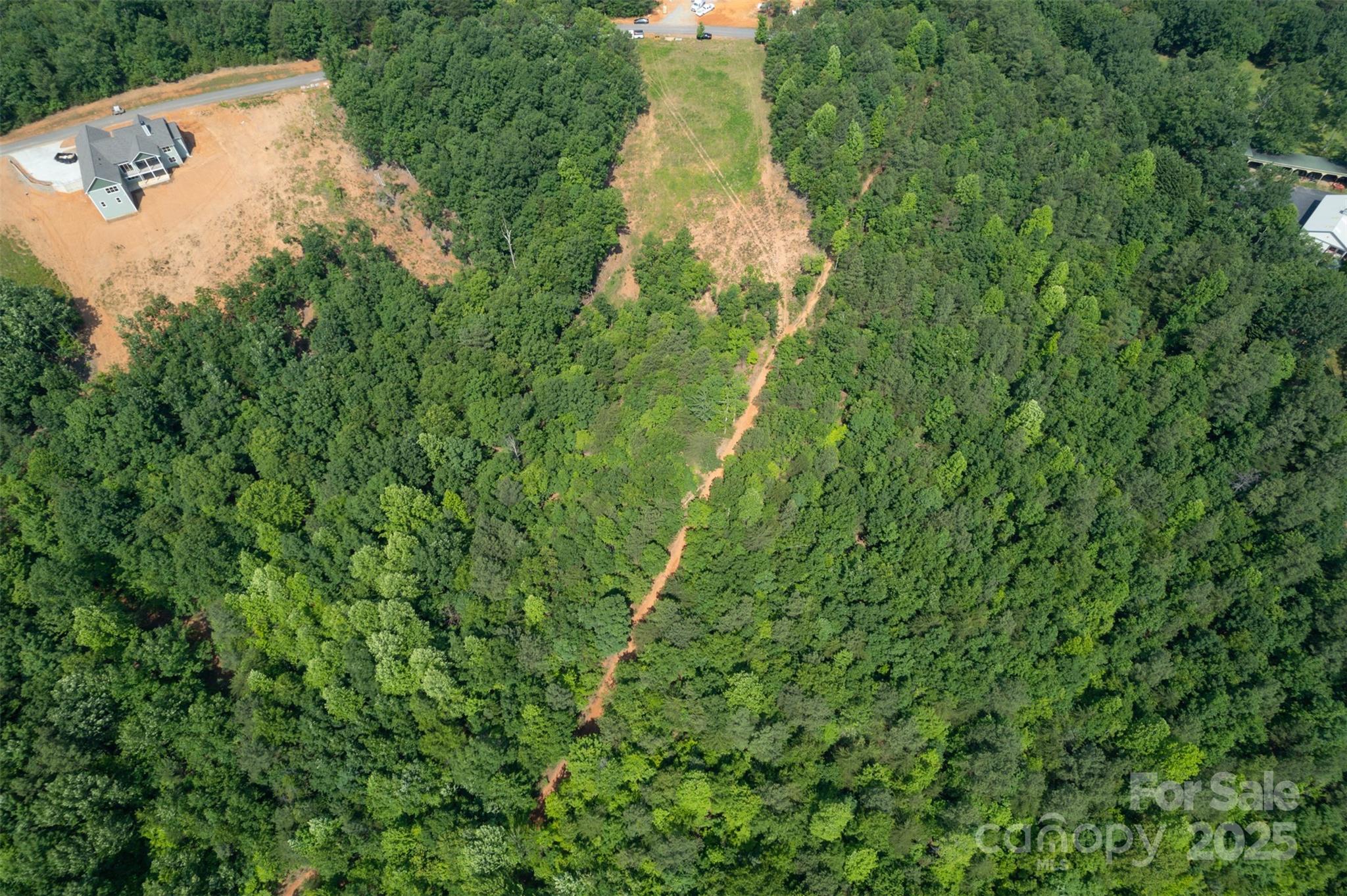 Lot 11 Prospect Point Drive Tryon, NC 28782 - Photo 12 of 16 a view of a yard with plants and large trees