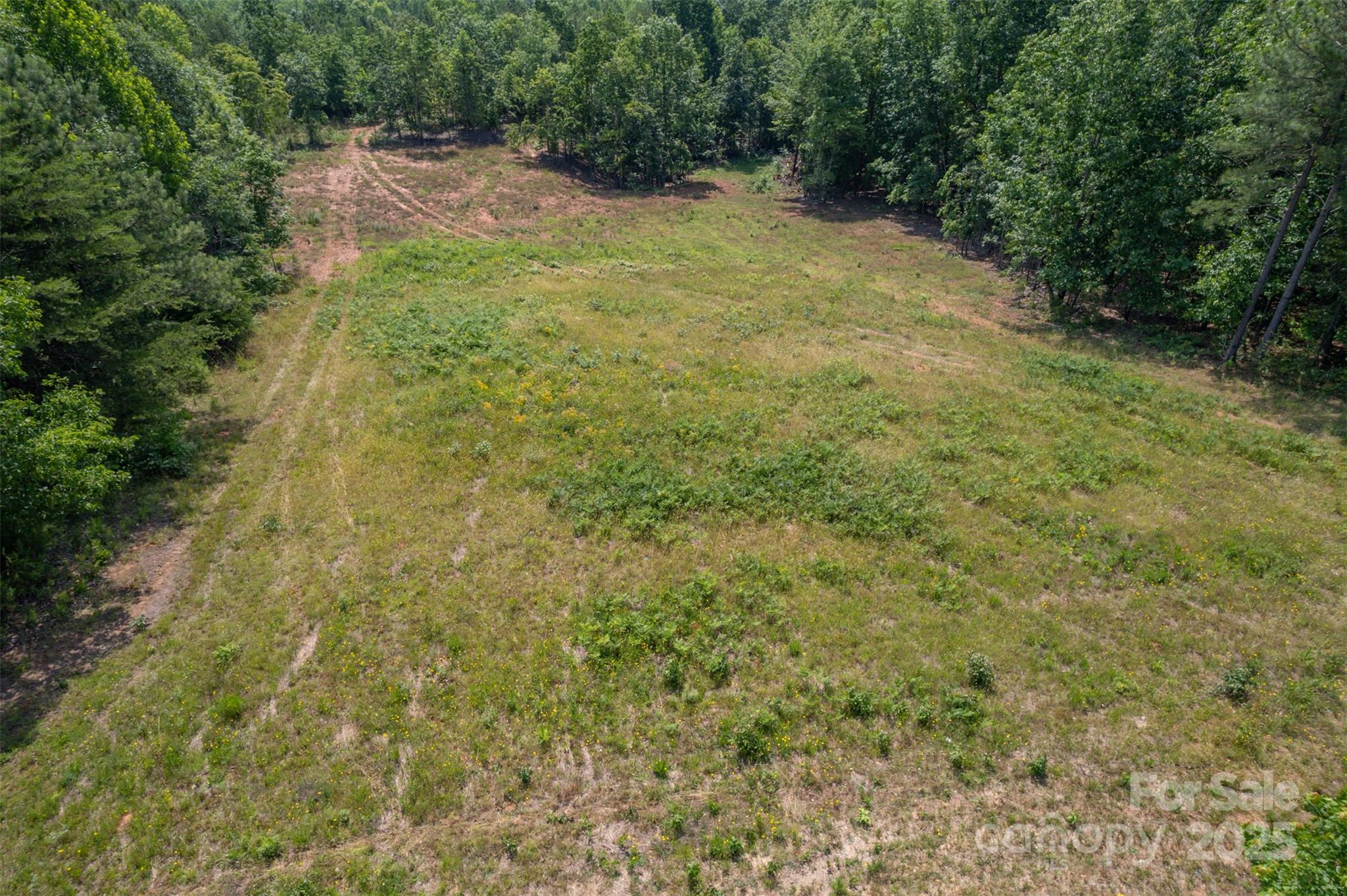 Lot 11 Prospect Point Drive Tryon, NC 28782 - Photo 15 of 16 a view of a yard with a tree