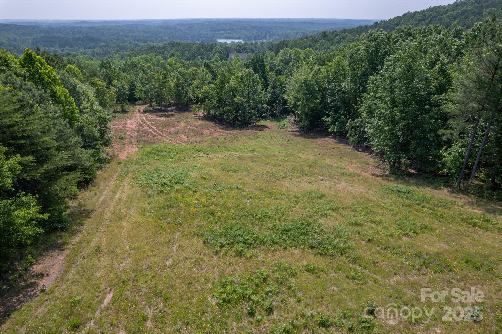 Lot 11 Prospect Point Drive Tryon, NC 28782 - Photo 16 of 16 a view of a large yard with lots of green space and mountain view in back