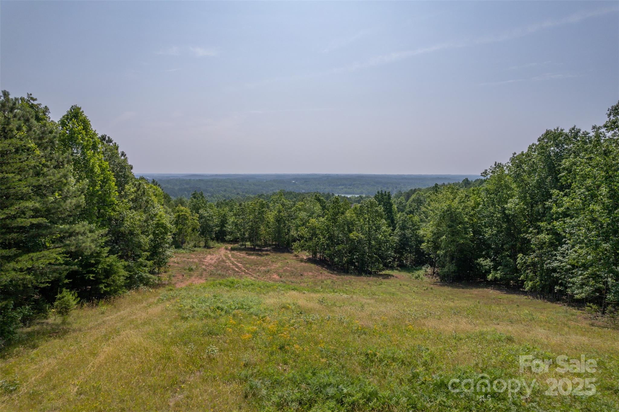 Lot 11 Prospect Point Drive Tryon, NC 28782 - Photo 2 of 16 a view of a yard with a tree