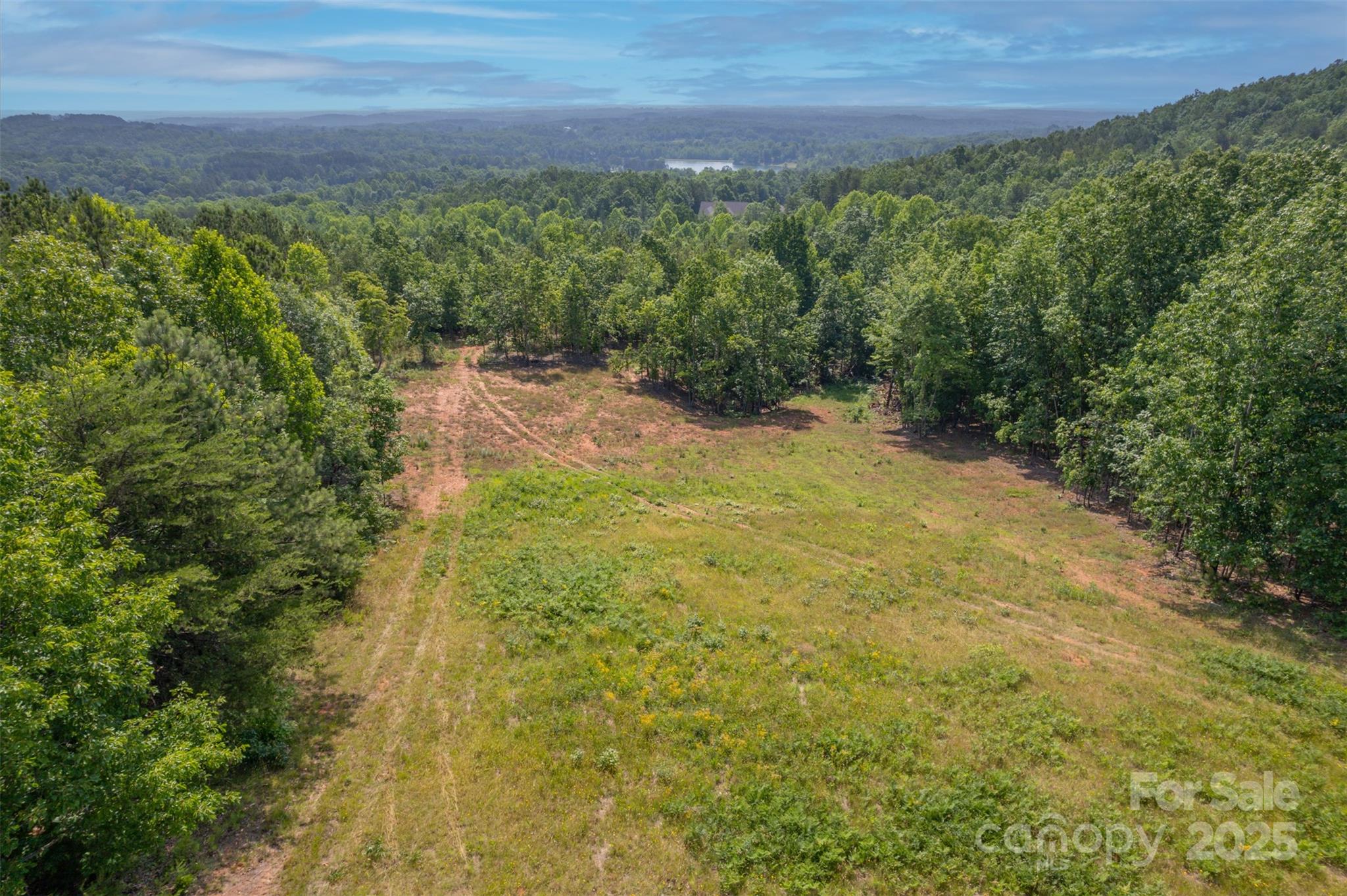 Lot 11 Prospect Point Drive Tryon, NC 28782 - Photo 4 of 16 a view of a yard with an outdoor space