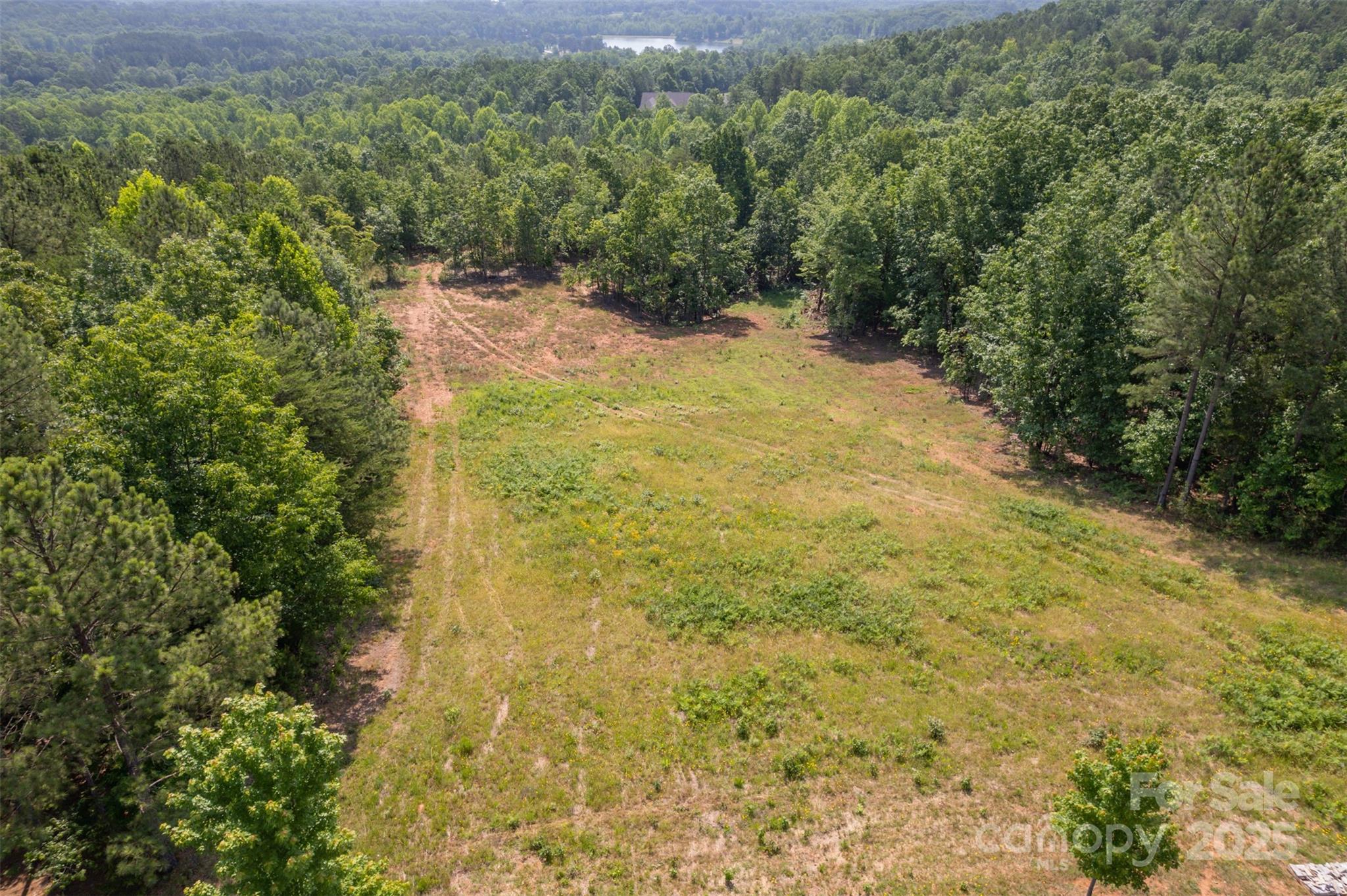 Lot 11 Prospect Point Drive Tryon, NC 28782 - Photo 5 of 16 a view of a yard with a tree