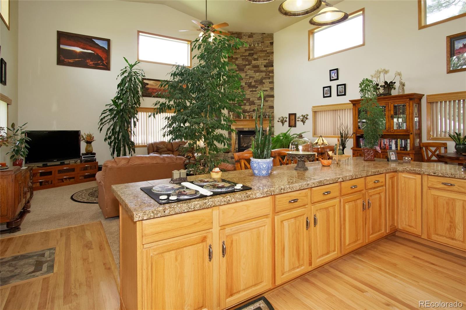 9125 East Summit Road Parker, CO 80138 - Photo 10 of 35 Gallery Image 10
