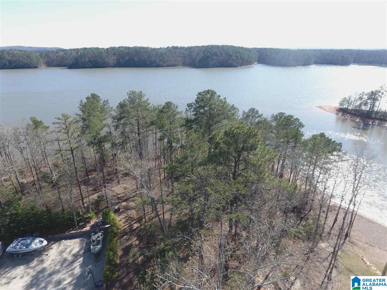 Red Eye Lane, Unit 22 Wedowee, AL 36278 - Photo 4 of 6