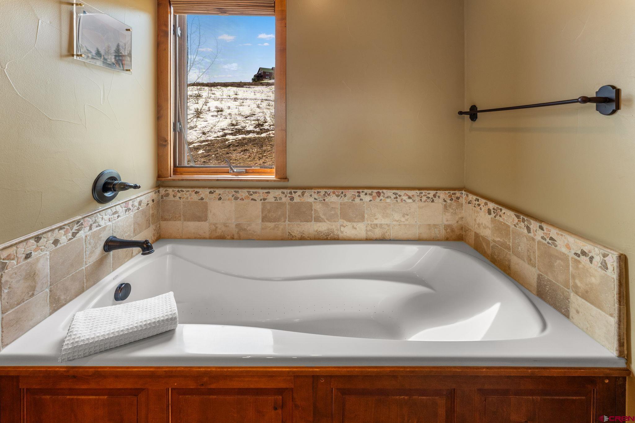 621 Gothic Road, Unit 2A Crested Butte, CO 81225 - Photo 19 of 34 a bathroom with a bathtub