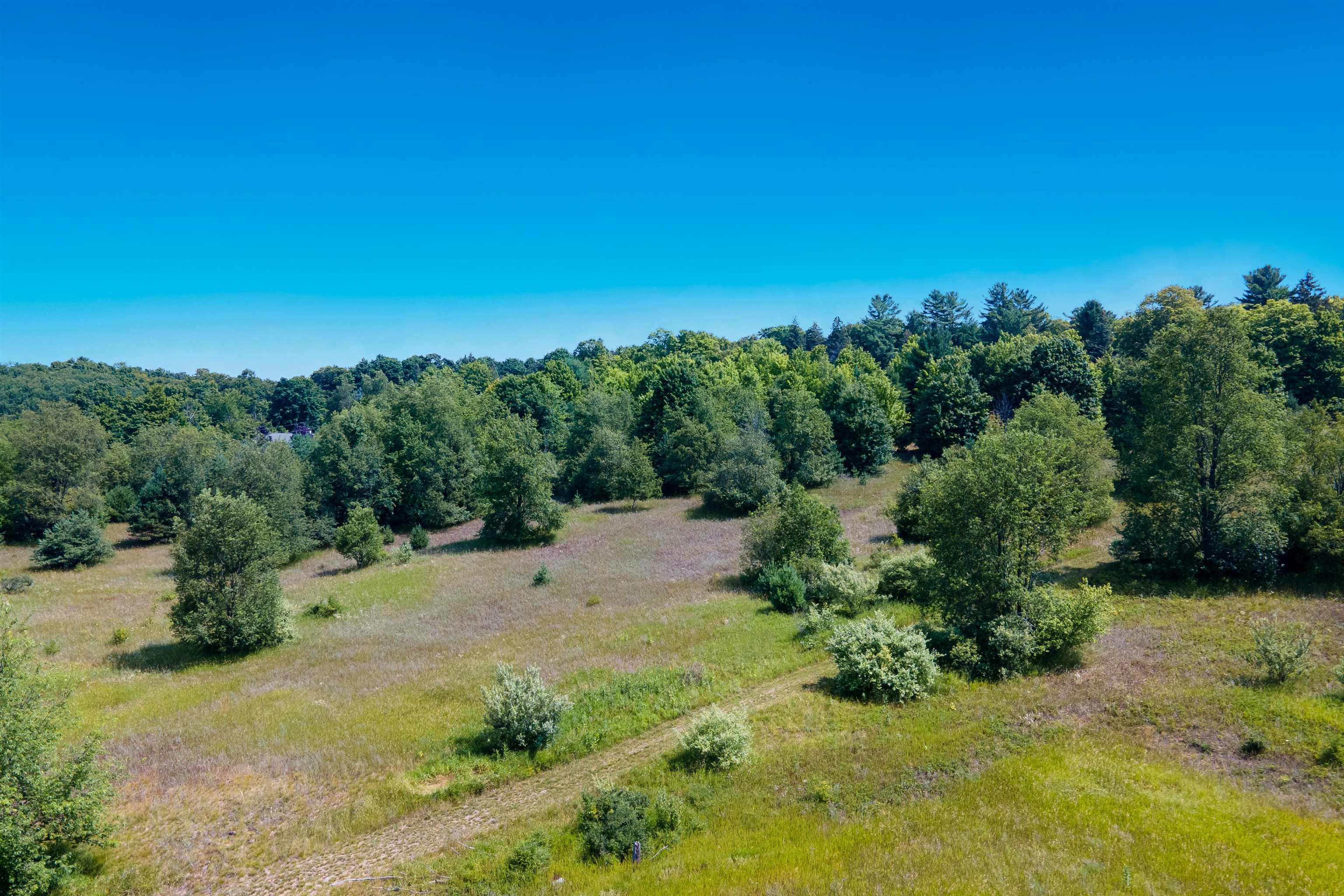 0 Love Road, Unit 0SOUTH STREET Benzonia, MI 49616 - Photo 4 of 20