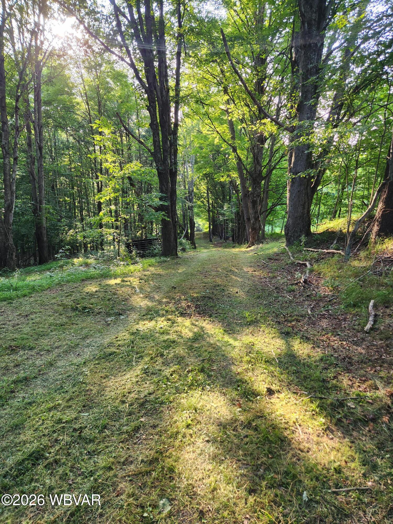 01 A Lambert Hill Road Dushore, PA 18614 - Photo 6 of 15 Gallery Image 6