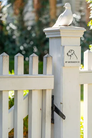 $3,395,000 | 87 Secession Street, Mount Pleasant, SC 29464