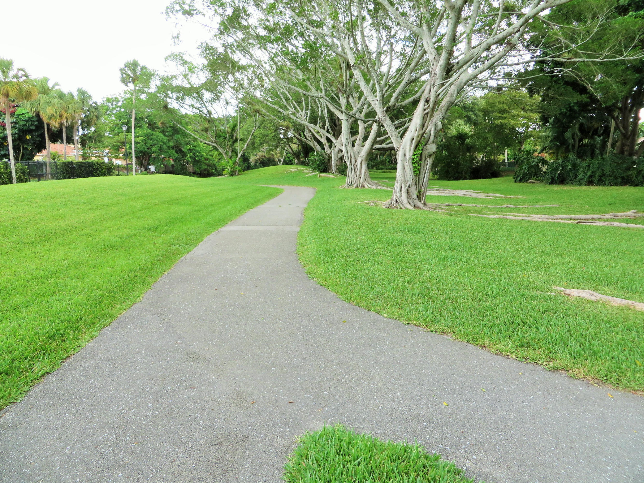 6755 Entrada Place Boca Raton, FL 33433 - Photo 35 of 36 Beautiful walking paths throughout.