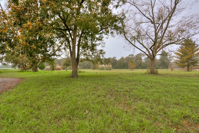 501 Boatwright Street Ridge Spring, SC 29129 - Photo 40 of 44