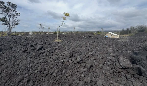 a backyard of a house
